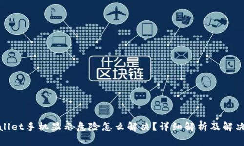 tpwallet手机显示危险怎么解决？详细解析及解决方案