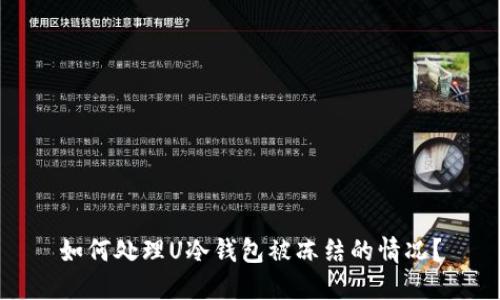 如何处理U冷钱包被冻结的情况？