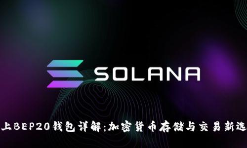 TP上BEP20钱包详解：加密货币存储与交易新选择