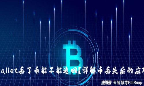 : tpwallet丢了币能不能追回？详解币丢失后的应对措施