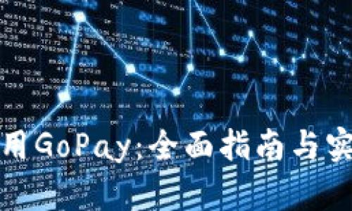 如何使用GoPay：全面指南与实用技巧
