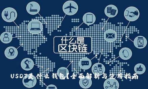 USDT是什么钱包？全面解析与使用指南