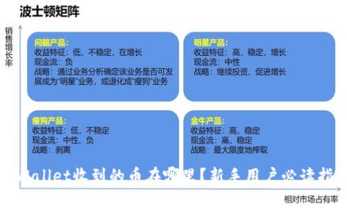TPWallet收到的币在哪里？新手用户必读指南