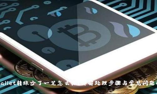 tpwallet转账少了一笔怎么办？详解处理步骤与常见问题解答