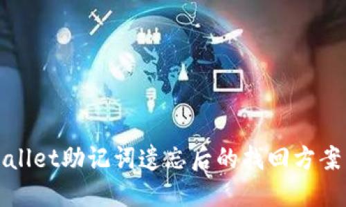 TPWallet助记词遗忘后的找回方案详解