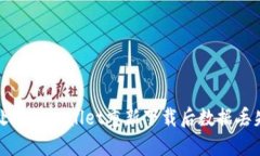 如何处理TPWallet重新下载后数据丢失问题