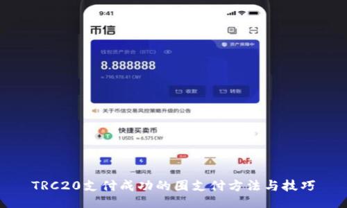 TRC20支付成功的圈支付方法与技巧