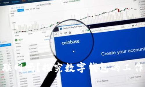 数字钱包需要联网吗？探究数字钱包的工作原理与安全性