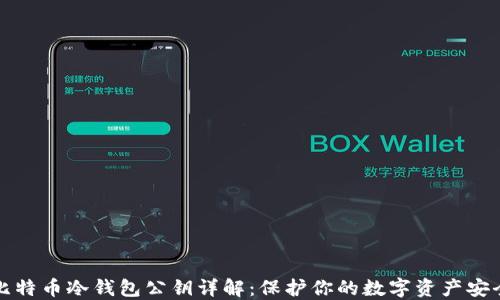 
比特币冷钱包公钥详解：保护你的数字资产安全