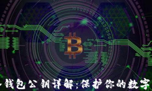 
比特币冷钱包公钥详解：保护你的数字资产安全