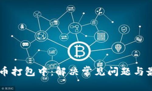 TPWallet提币打包中：解决常见问题与最佳实践指南