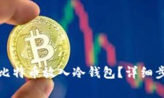 如何安全地将比特币放入冷钱包？详细步骤及注