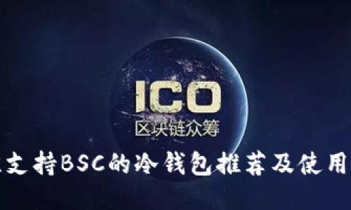 最佳支持BSC的冷钱包推荐及使用指南