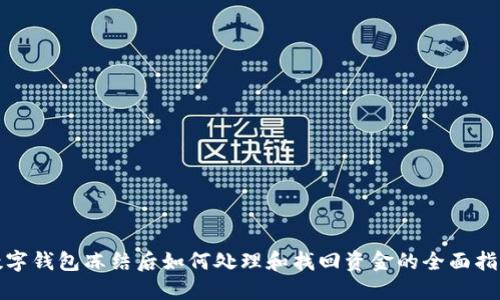 数字钱包冻结后如何处理和找回资金的全面指南